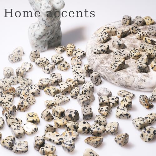 Image of Dalmatian Jasper Chips Bulk 1lb, 600+ Pieces, 0.4-0.9in Natural Stones