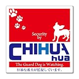 Sign Store 番犬セキュリティステッカー 防犯表示 11.5cm×11.5cm ビニール 日本製 TMZN27 (チワワ)