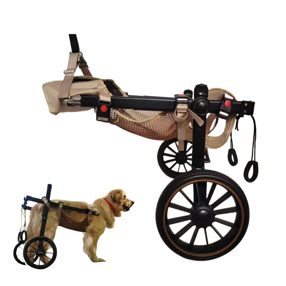 Carrito para Mascotas Silla de Ruedas Perros con Patas traseras Ajustable pequeños y Grandes Todoterreno Doble cojinete Malla Transpirable fácil Poner Quitar XL