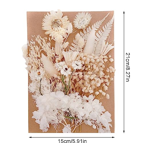 Fleymu Fiori Secchi Bianco Fiori Secchi Naturali