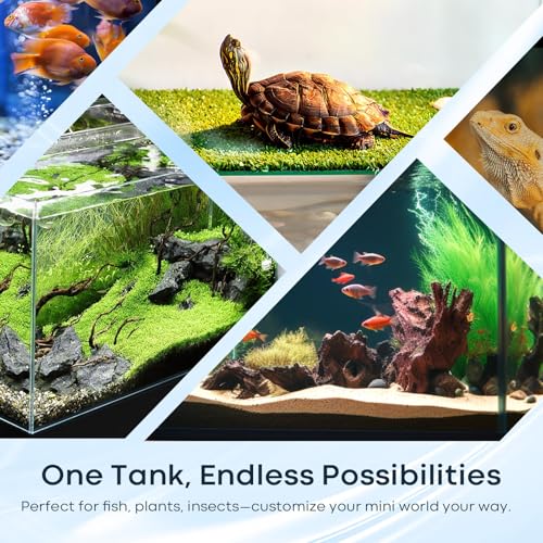 Image of 3 Gallon Glass Fish Tank Cube, Small Aquarium Fish Bowl for Betta Goldfish Snails Shrimp Aquatic Planting, Easy to Maintain Ultra Clear Rimless Design for Desktop Small Spaces