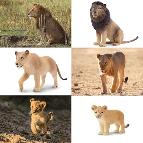 Image of Wildlife Lion Animals Toy for Kids | 6 PCS Realistic Safari Sher Animal Toys Lion Family Action Figurine Model Playset for Boys & Girls Birthday Gifts for Children Education | Decoration Items