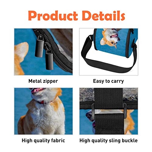 Bolsa de almuerzo de Corgi reutilizable que soluciona los derrames escolares 6