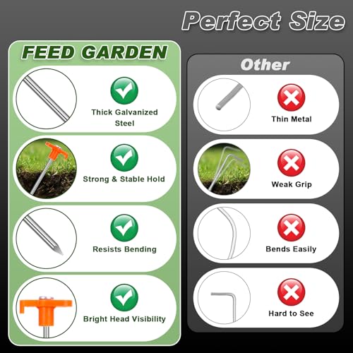 FEED GARDEN 10 Pack Galvanized Steel