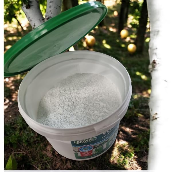 Vernice bianca per alberi da frutto: 1 kg di calce da giardino in pratico secchio, per la protezione dal gelo e la cura
