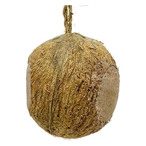 Whole Coconut Suet Filled Bird Feeder with 3 Feeding Holes - Wild Bird Food for Hanging Outdoors - Garden Feeder Attracting Tits, Finches, Robins & many more Wild Birds Cover