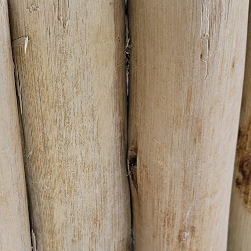 Backyard X-Scapes Natural Eucalyptus Wood Solid Log For Garden Edging Lawn Landscape Fence Borders 72 In L X 6 In H X 1.25 In D #TOP5