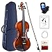 Aileen Violín Set Tamaño 4/4 para Principiantes Profesionales con Estuche Rígido, Afinador, Manual del Usuario, Cuerdas y Resina