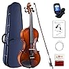 Aileen Viool 4/4 Volwassen, Viool Beginner met Briljante Antieke Verschijning