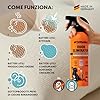Petstandard Detergente Enzimatico – Potente Elimina Odori & Smacchiatore per urina di cane e gatto, feci, vomito – sicuro per animali e ambiente – Made In Germany – 750ml