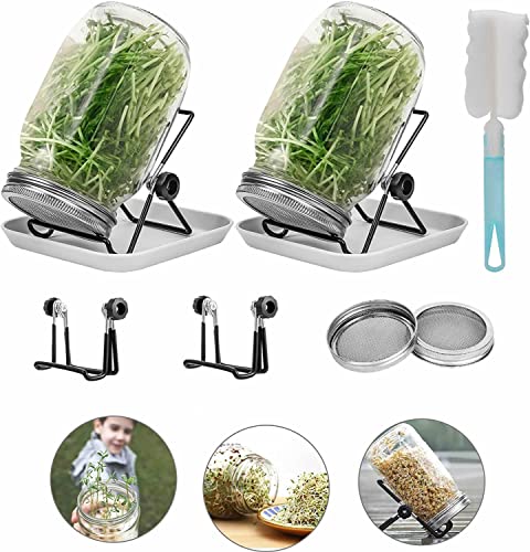 Sprouting Kit, 2 Sprouting Jar Kit, Wide Mouth Quart Mason Jars with Stainless Steel Screen Sprout Lids,500ml, Stand and Canning Brush,Seed Sprouter Set for Growing Broccoli, Alfalfa, Mung Bean