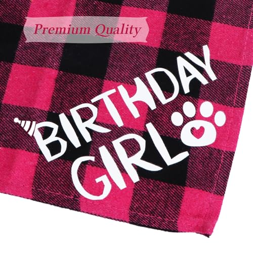 50% Off Dog Birthday Party Set - Hat, Bandana & Bow Tie - Image 6