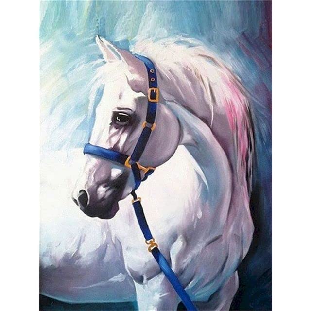 Amazon | 数字によるDIYの白い馬の油絵セット キャンバスに色を描く