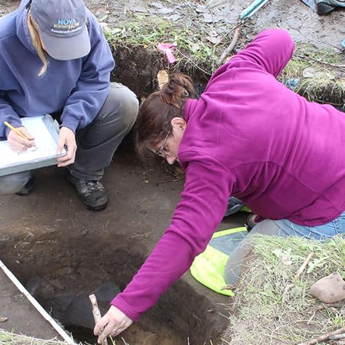 Public Archeology Facility: Bearing the Bones of Public Humanities
