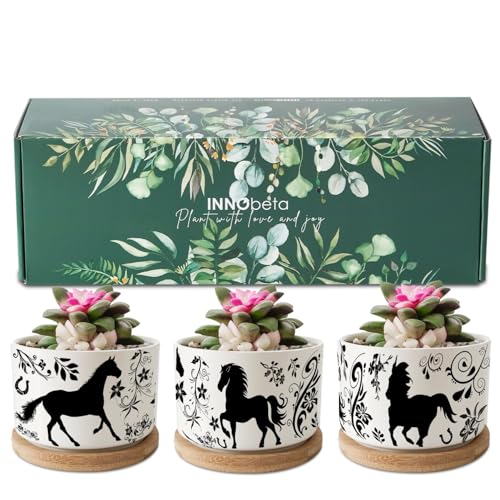 InnoBeta Horse Gifts Succulent Plant Pots 3pcs, Gifts for Horse Lovers, Planter Pot with...