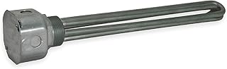 Tempco Steel Immersion Heater TSP02222, 2