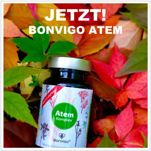 BonVigo® MenthaVigo Lungenkraut Plus 60 Kapseln 11 Pflanzen mit