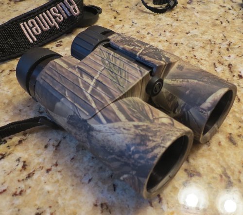 Bushnell Excursion Binocular 10x42 Impermeable y Antiempañante miniatura 5