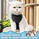 Katzenbody Nach OP für Katzen Kastration, Erholungsanzug Katze Body, Alternative zur Halskrause, Weiche Atmungsaktive Katzenbekleidung für Hautkrankheiten und Wunden