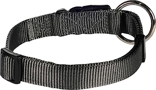 Dog Collar Ziggi Dark grey M 40-55cm 20mm - Image 2