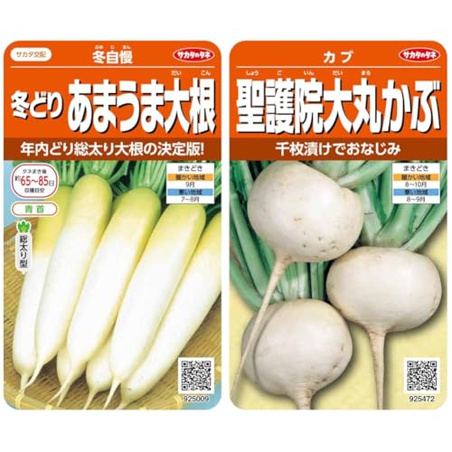 【セット買い】実咲野菜 ダイコン あまうま総太り冬自慢 小袋003065 + サカタのタネ 実咲野菜5472 聖護院大丸かぶ カブ 00925472