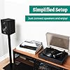 Electrohome Montrose Wireless Vinyl Record Player 2-Speed Belt-Drive Turntable, with Audio-Technica Stylus, Bluetooth, Vinyl-to-MP3 Recording, Speed Control Motor, Built-in Preamp, Wood Plinth (RR36B) #4