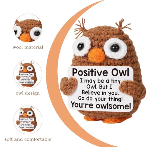 Image of Crochet Toys, Crochet Owl Plush Doll, Handmade Soft Toy for Home Decor, Office Desk Companion, Gift for Friends, Family, Lovers, Handmade Mini Cute Items