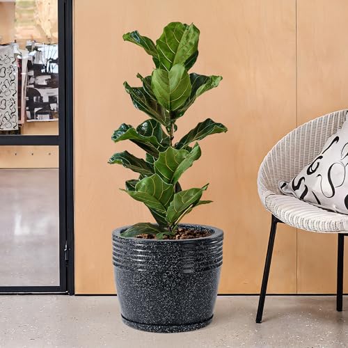Kuber Industries 12-Inch Roto Mould German Polymer Big Size Flower Pot with Bottom Tray | Indoor/Outdoor Tree Gamla Planter for Resorts, Hotels, Terrace & Garden | Marble Sunshine - Black