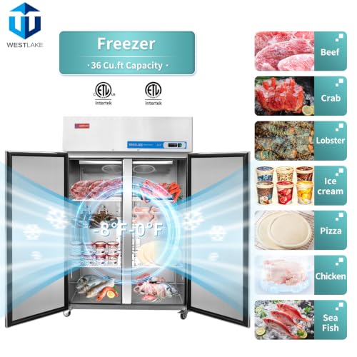 Walk in freezer cold room industrial
