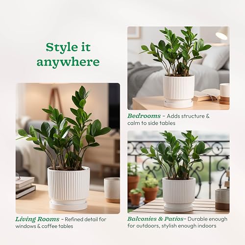 Image of UGAOO Roma Ceramic Pot for Indoor Plants, 5 Inch - Curtain Brown