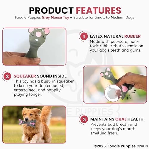 Image of Foodie Puppies Squeaky Latex Dog Toy for Small Dogs & Puppies | Grey Mouse Shape | Durable, Soft & Safe | Fun Chew, Fetch & Play Toy | 14cm | Interactive Animal Design with Cotton Filling