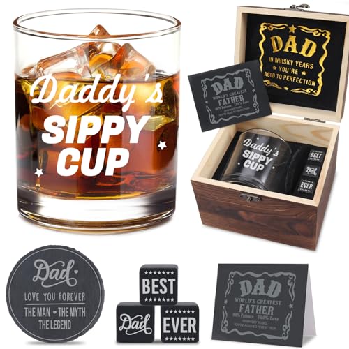 LEJIAJINW Fathers Day Father Gifts for Dad Husband Daddy Bonus Step New First Time Dads Birthday Gift from Daughter Son Wife Kids Funny Daddy's Sippy Cup Whiskey Glasses for Men