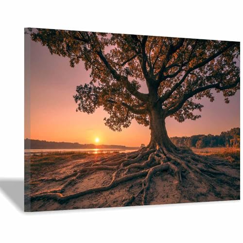 Tableau arbre de vie 70x100cm encadré impression sur toile murale marron pour décoration salon