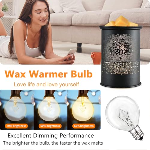 25 Watt Wax Warmer Bulbs,Light Bulbs for Full Size Scentsy Warmer,120V/E12 Base Type G Bulb,Dimmable, Warm White, 6 Packs G40 Bulbs for Candle Lamp