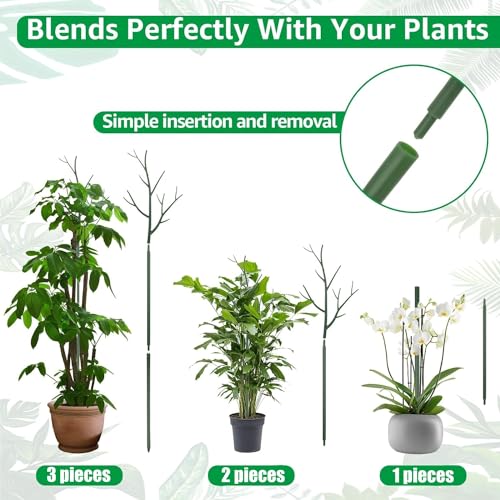 KAHEIGN 6Pcs Detachable Twig Plant Support Stakes - Image 3