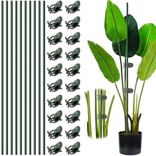 Tuteurs pour Plantes, 10 Pièces Tuteur Plante Interieur Extérieur, Tuteur Plante Grimpante avec 20 Pièces Clips pour Plantes, Bâtons de Support pour Plantes, pour...