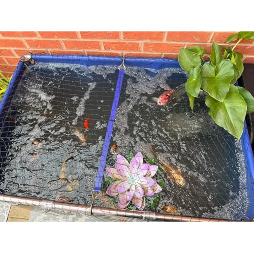 Aquarium avec fenêtre d'observation pour élevage tortues - 6