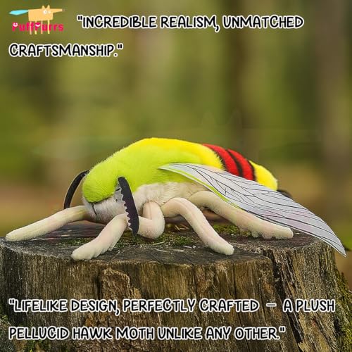 PuffPurrs Lifelike Pellucid Hawk Moth Toy, Realistic Transparent Wings Teddy Stuffed Animal - Image 2