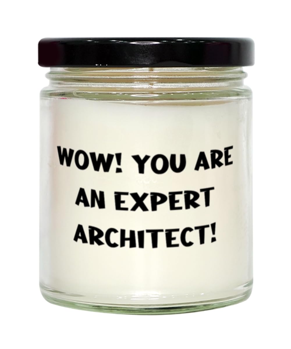 Funny Architect Gifts, Wow! You are an Expert Architect!, Sarcastic Birthday Scent Candle Gifts for Friends from Team Leader, Cheap Architect Gifts Under, Inexpensive Architect Gifts, Gifts for