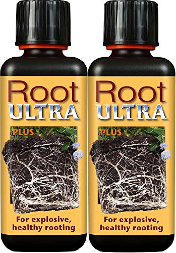 Growth Technology Root Ultra - Potenciador de Crecimiento (300 ml, minimiza los choques de trasplantes)
