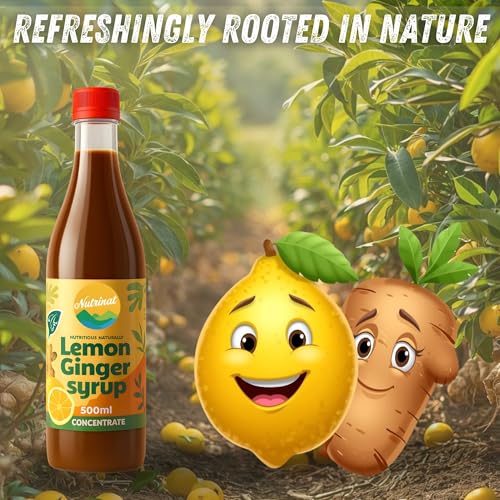 Image of Nutrinat Lemon Ginger Syrup - 500ml, (Pack of 2) | Fruit Concentrate