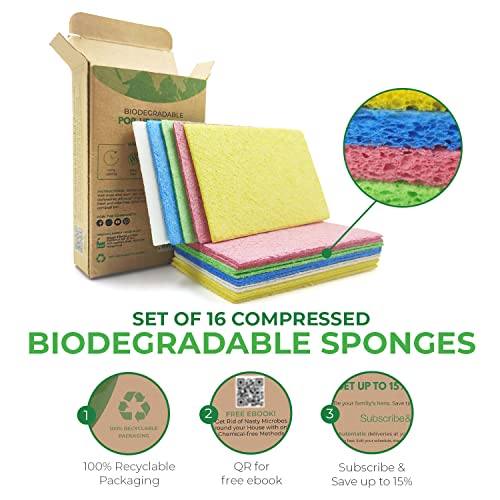 AIRNEX-Biodegradable-Cellulose-Compressed-Sponges-Pack-of-16-Kitchen-Sponges-for-Cleaning-Heavy-Duty-and-Natural-Multipurpose-Household-Cleaning-Sponges-Good-for-Kitchen-Bathroom-and-Surfaces