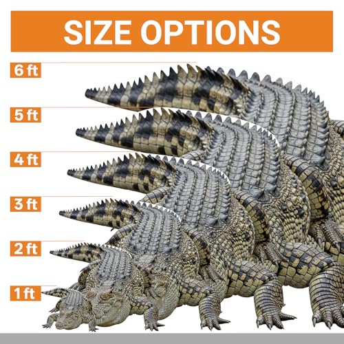 Image of Crocodile Cardboard Cutout 5FT Life Size, Fun Animal Standup | 1 PC, for Events, Party Decor, Birthday & Photos, Standee, Photo Prop, Home Decoration, Kids Party, Birthday Gift, Holiday
