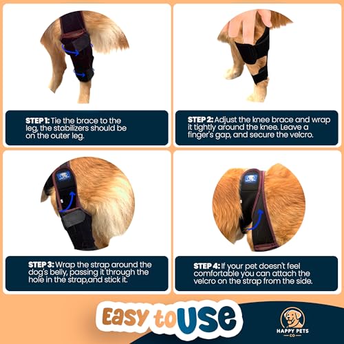 Image of Dog Knee Brace Adjustable Front Hind Leg Brace for Cruciate Ligament Injury, Luxating Patella, Torn ACL
