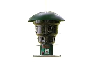 Wild Bill's: A Squirrel-Proof 8-Station Bird Feeder