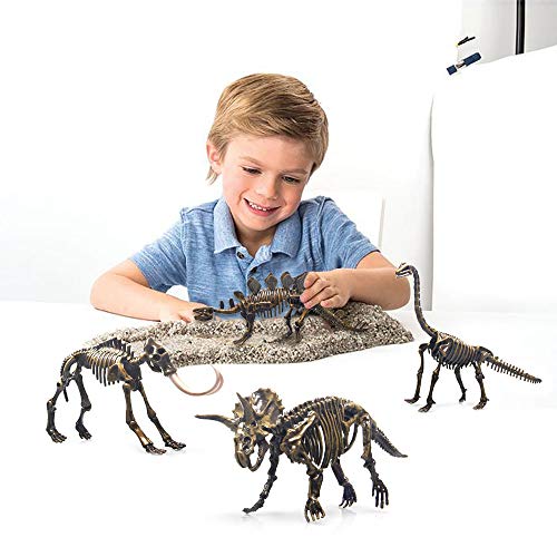 5 Different Dinosaur Skeleton Puzzles Model Set 3D Puzzles For Adults, Diy Skeleton Dinosaur Toys For Kids Ages 6 And Up #TOP4