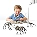 5 Different Dinosaur Skeleton Puzzles Model Set 3D Puzzles for Adults, DIY Skeleton Dinosaur Toys for Kids Ages 6 and Up