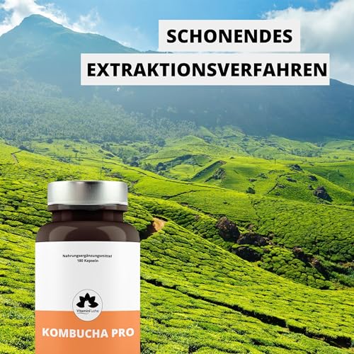 Kombucha Kapseln mit Vitamin E - 3 Monatsversorung mit 180 Kapseln - Kombucha Pilz - Premium Vitamin E Kapseln mit Kombucha-Extrakt von VitaminFuchs