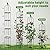 Anothera Garden Trellis for Climbing Plants, 6ft Rustproof Metal Pipe with Heavy Duty Plastic Coated, Garden Outdoor Indoor Potted Plant Support, Round Obelisk Garden Trellis for Climbing Vine?Black?
