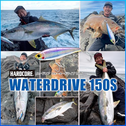DUEL (デュエル) ルアー ハードコア ウォータードライブ 150mm シンキング ストライクイワシ 7枚目